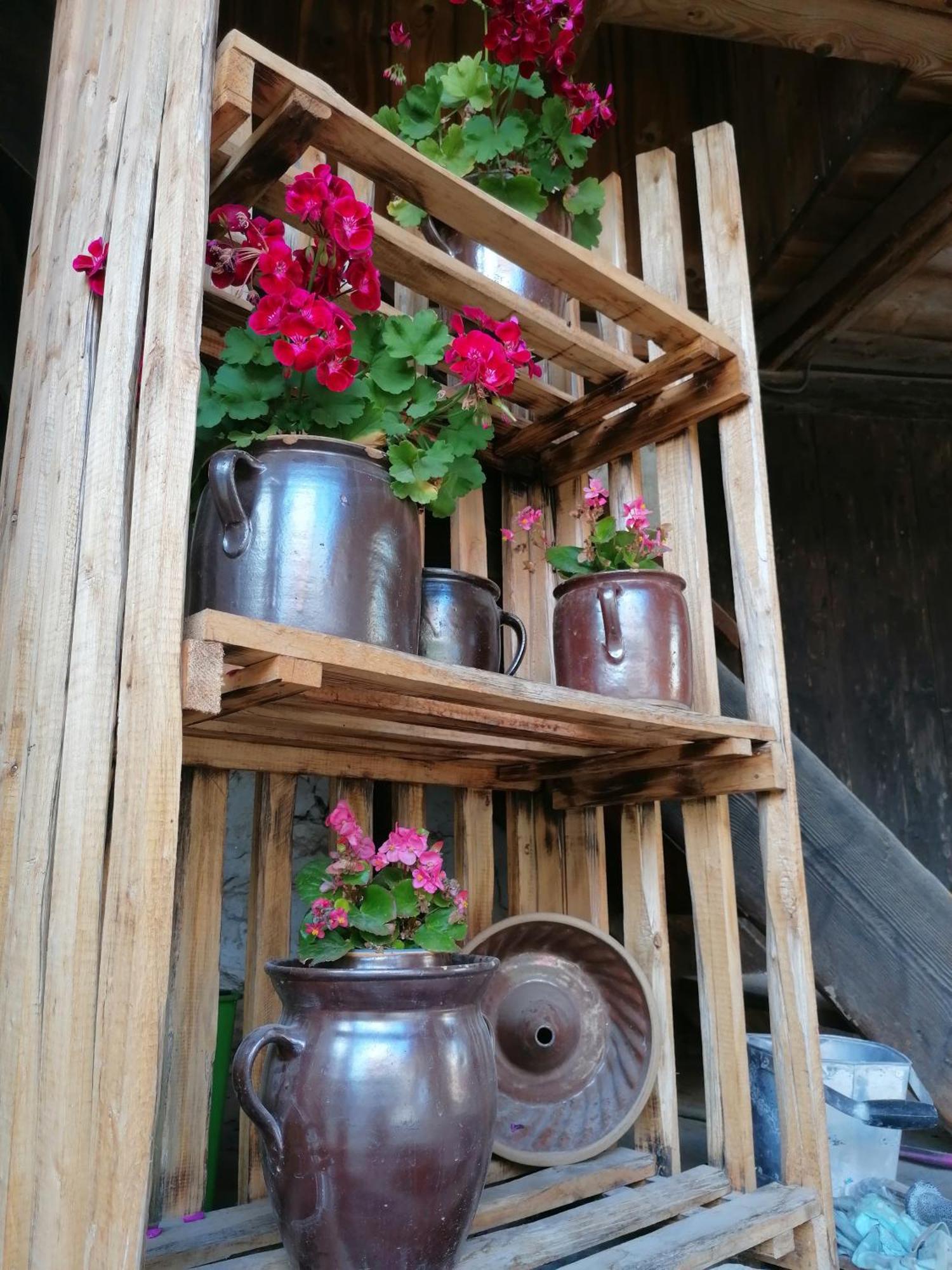 Ackerbuergerhof Ballstrasse 18 Quedlinburg Zewnętrze zdjęcie