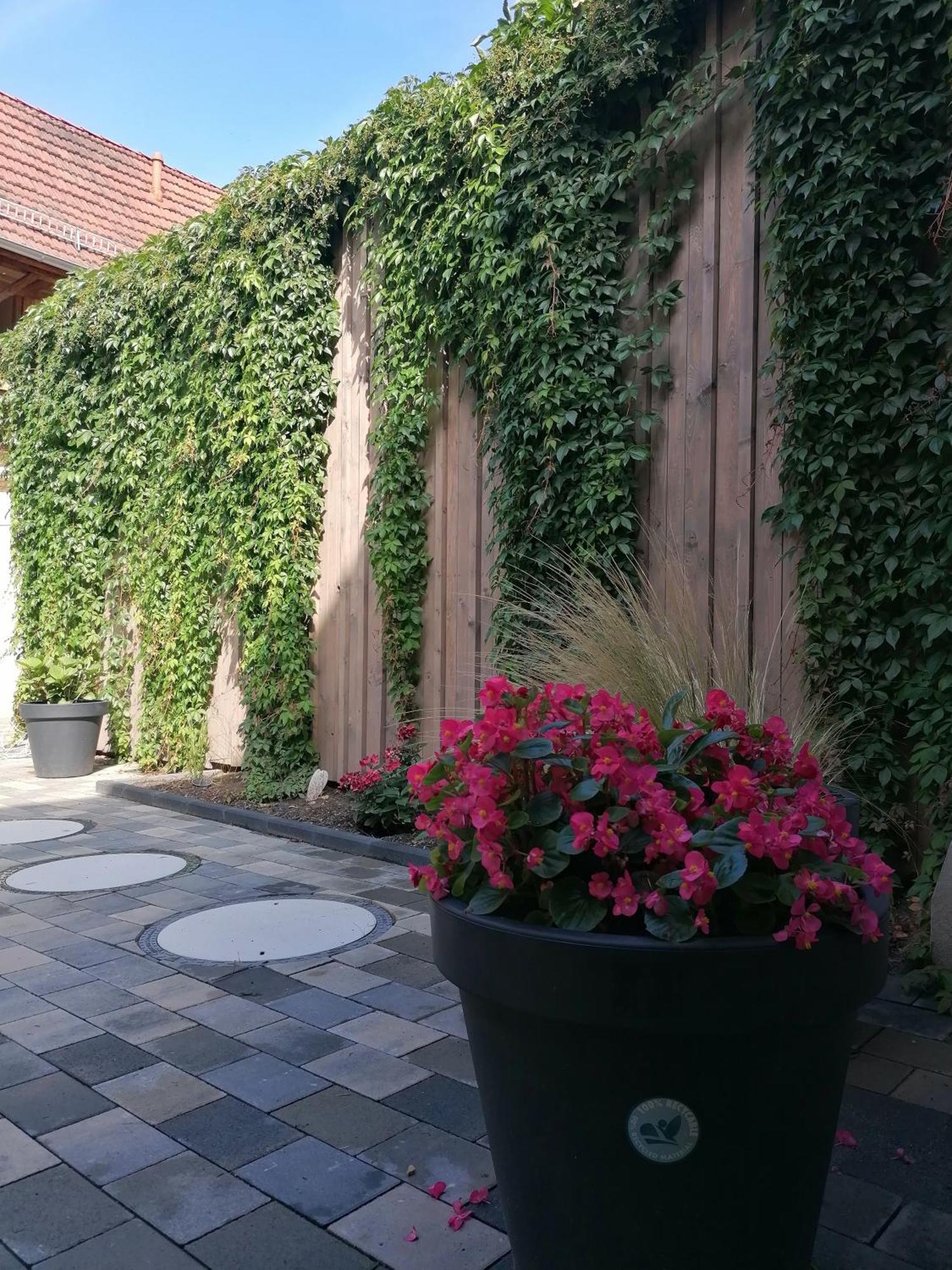 Ackerbuergerhof Ballstrasse 18 Quedlinburg Zewnętrze zdjęcie